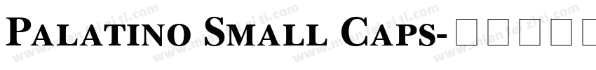 Palatino Small Caps字体转换